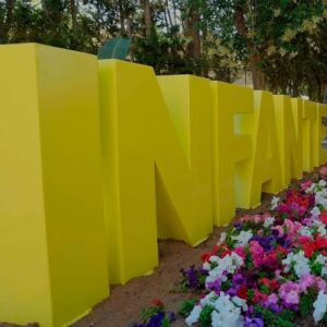 Asociación Vecinos Amigos Infante